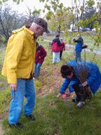 Arbor Day 2010